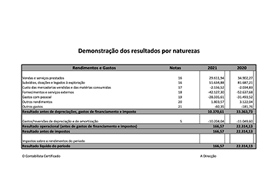 ARPIRM Demonst-resultados-2021