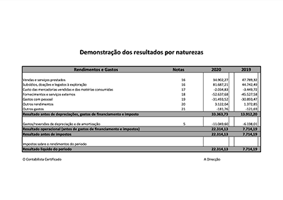 ARPIRM Demostracao-Resultados-2020